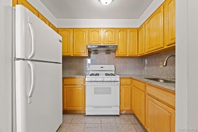 Spacious and beautiful 2 bed 2 bath condo with terrace - photo 8