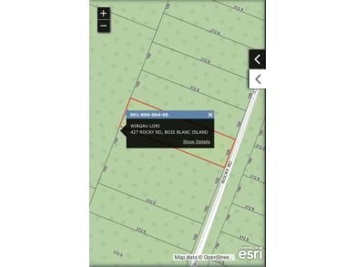 Lake Huron - Mackinac County Lot For Sale in Bois Blanc Island Michigan
