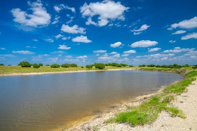 (private lake, pond, coastal) Acreage For Sale in Bertram Texas