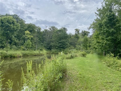 (private lake, pond, creek) Acreage For Sale in Chardon Ohio