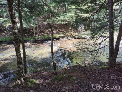 Lake Superior - Baraga County Acreage For Sale in L Anse Michigan