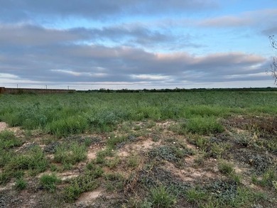 Lake Nasworthy Lot For Sale in San Angelo Texas