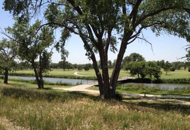 Palo Duro Creek Business Park Development Tracts. 6.32 acres in - photo 1