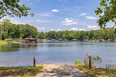 Opportunity awaits at Lake Gaston! Situated on approximately 1 - photo 35