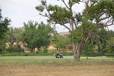 Palo Duro Creek Business Park Development Tracts. 6.32 acres in - photo 10