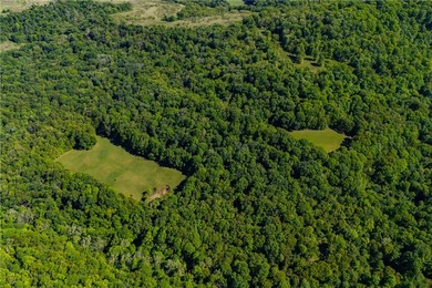 A truly one-of-a-kind legacy estate spanning nearly 100 acres of - photo 48