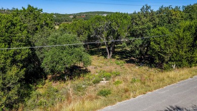 NO HOA! Gorgeous buildable lot on a quiet street with backyard - photo 4