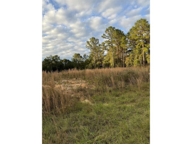 Lake Lot For Sale in Andalusia, Alabama