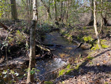 (private lake, pond, coastal) Acreage For Sale in Barnwell South Carolina