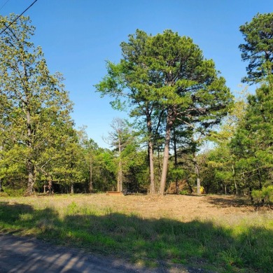 Lake Acreage For Sale in Knoxville, Arkansas