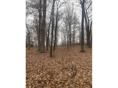 Lake Acreage For Sale in Muscle Shoals, Alabama