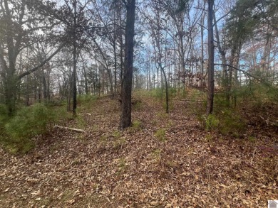 Kentucky Lake Lot For Sale in Gilbertsville Kentucky