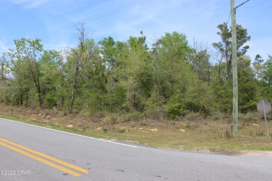 Dunford Lake Lot For Sale in Chipley Florida