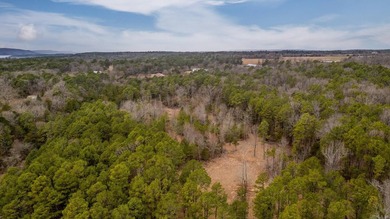 8 ACRES of WATERFRONT ACREAGE! Don't miss this opportunity to - photo 3