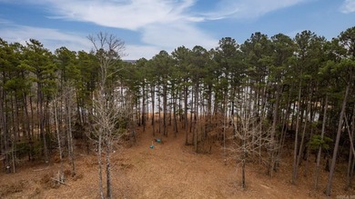 8 ACRES of WATERFRONT ACREAGE! Don't miss this opportunity to - photo 4