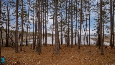 8 ACRES of WATERFRONT ACREAGE! Don't miss this opportunity to - photo 5
