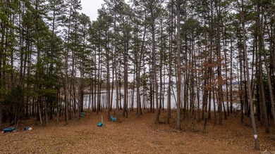 8 ACRES of WATERFRONT ACREAGE! Don't miss this opportunity to - photo 6