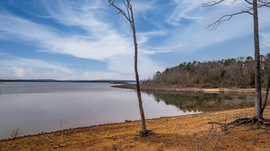 8 ACRES of WATERFRONT ACREAGE! Don't miss this opportunity to - photo 8