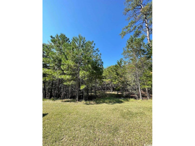 Waccamaw River Lot For Sale in Conway South Carolina
