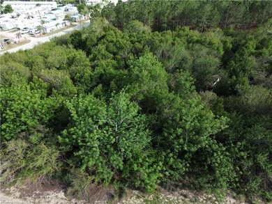 Dinner Lake - Highlands County Acreage For Sale in Sebring Florida