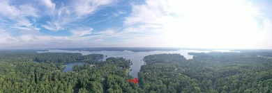 Build your DREAM home, with a dock already in place while - Lake Lot For Sale in Ninety Six, South Carolina