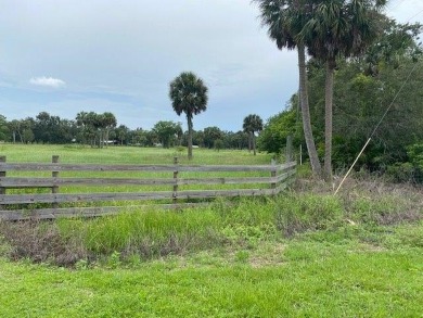 Lake Acreage For Sale in Moore Haven, Florida