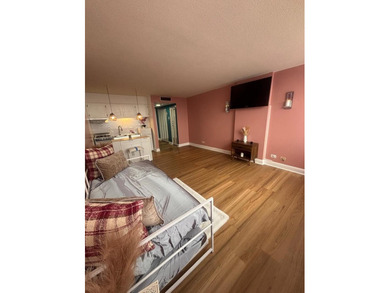 Tastefully upgraded fully furnished Elmwood Park Studio Condo on