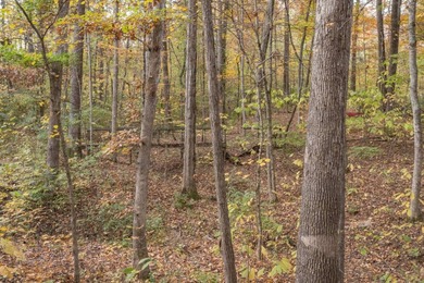 5802 Ellis Ln - photo 34