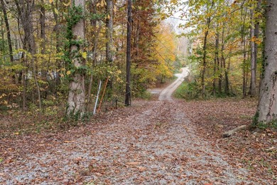 5802 Ellis Ln - photo 35