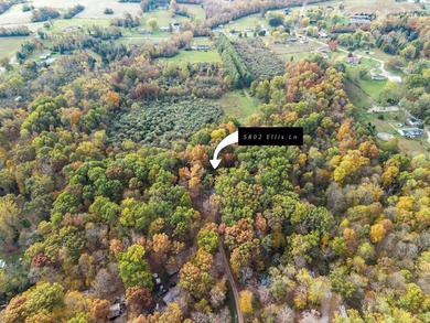 5802 Ellis Ln - photo 38