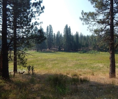 Bass Lake Lot For Sale in North Fork California