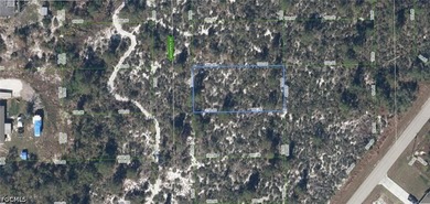 A VACANT LOT IN LAKE PLACID IN HIGHLANDS - photo 1