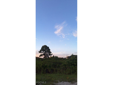 Lehigh Acres Area Lot Sale Pending in Lehigh Acres Florida
