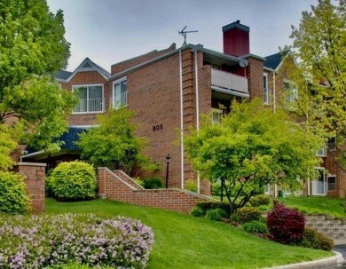 Lake Home For Sale in Elk Grove Village, Illinois