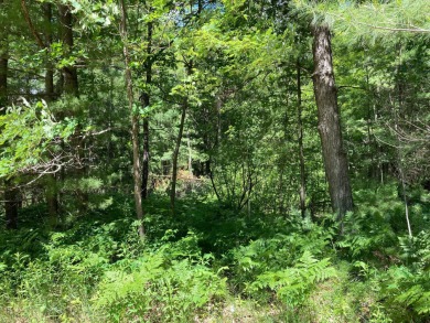 Syers Lake Acreage For Sale in Luther Michigan