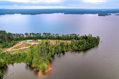 Unparalleled in the Southeast, 520 Abundance Way offers 2.89 - photo 2