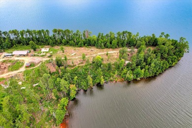 Unparalleled in the Southeast, 520 Abundance Way offers 2.89 - photo 4
