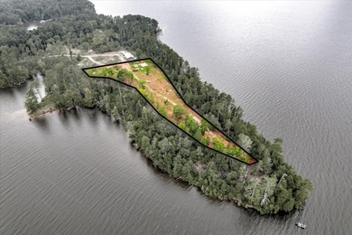 Unparalleled in the Southeast, 520 Abundance Way offers 2.89 - photo 5
