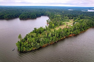Unparalleled in the Southeast, 520 Abundance Way offers 2.89 - photo 7