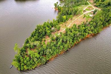 Unparalleled in the Southeast, 520 Abundance Way offers 2.89 - photo 8