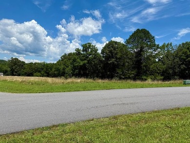 Hiwassee River - Cherokee County Acreage For Sale in Murphy North Carolina