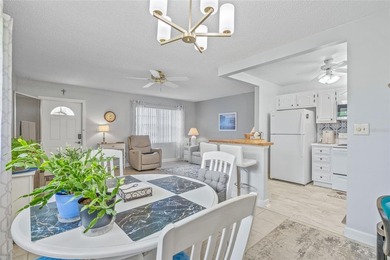 Bright, Move-In-Ready Condo with Florida Room & Resort-Style 55+ - photo 8