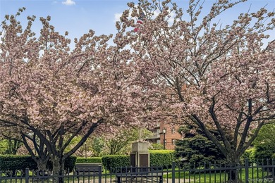 Expansive sun-filled & ideally located! Welcome to Unit 6J at - photo 21