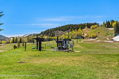 Secure this rare opportunity to own a ski-in/ski-out investment - photo 24