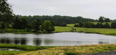 This peaceful inviting property truly feels like Home- offering - photo 3
