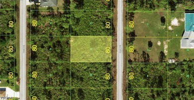 No HOAs, deed restrictions or CDDs!!! Conveniently located to - photo 1