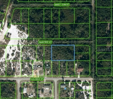 Lake Istokpoga Lot For Sale in Lake Placid Florida