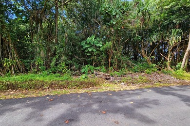 Rare opportunity to own a collection of eight lots near the - photo 1