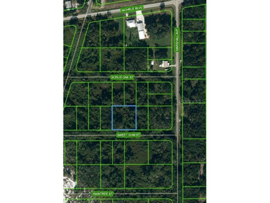 Lake Istokpoga Lot For Sale in Lake Placid Florida