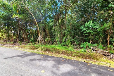 Rare opportunity to own a collection of eight lots near the - photo 2
